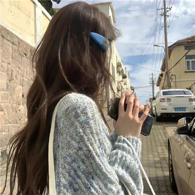 小叮当:羽翼之谜 封面