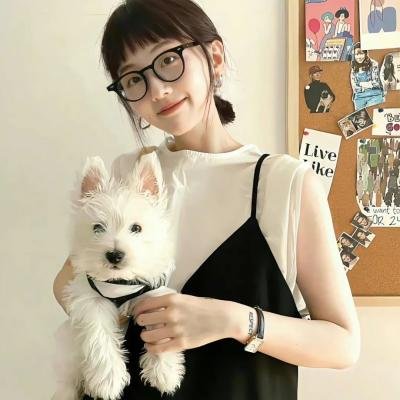 猪法奇缘 封面